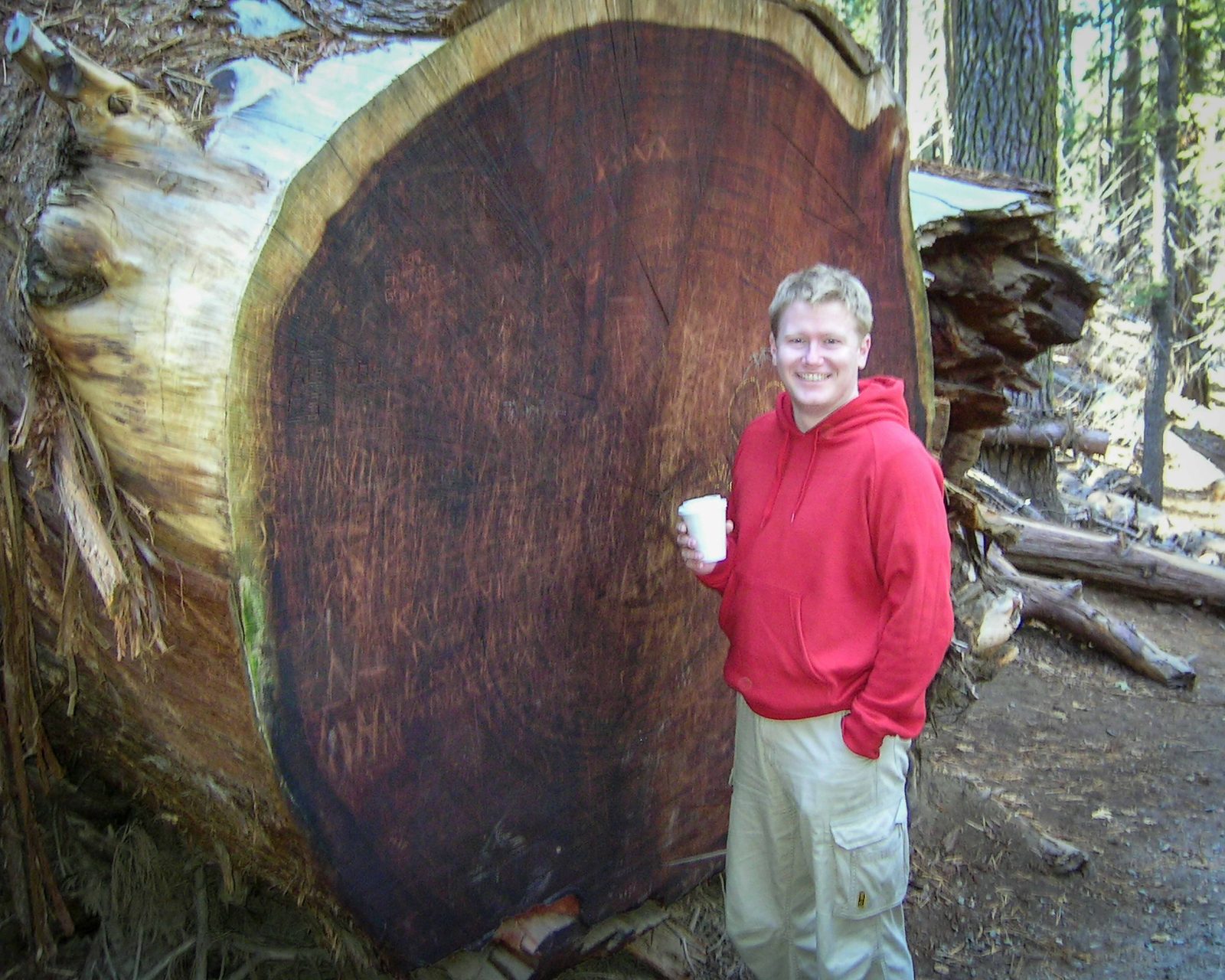 Young Tom standing before a Giant Sequoia