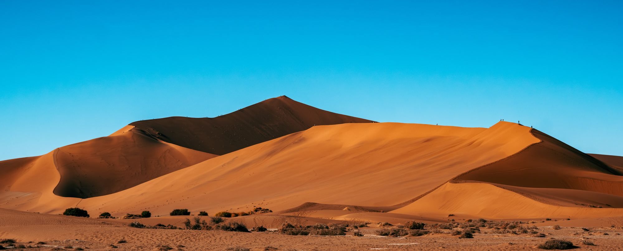 Red sand dunes of Sossusvlei at sunrise