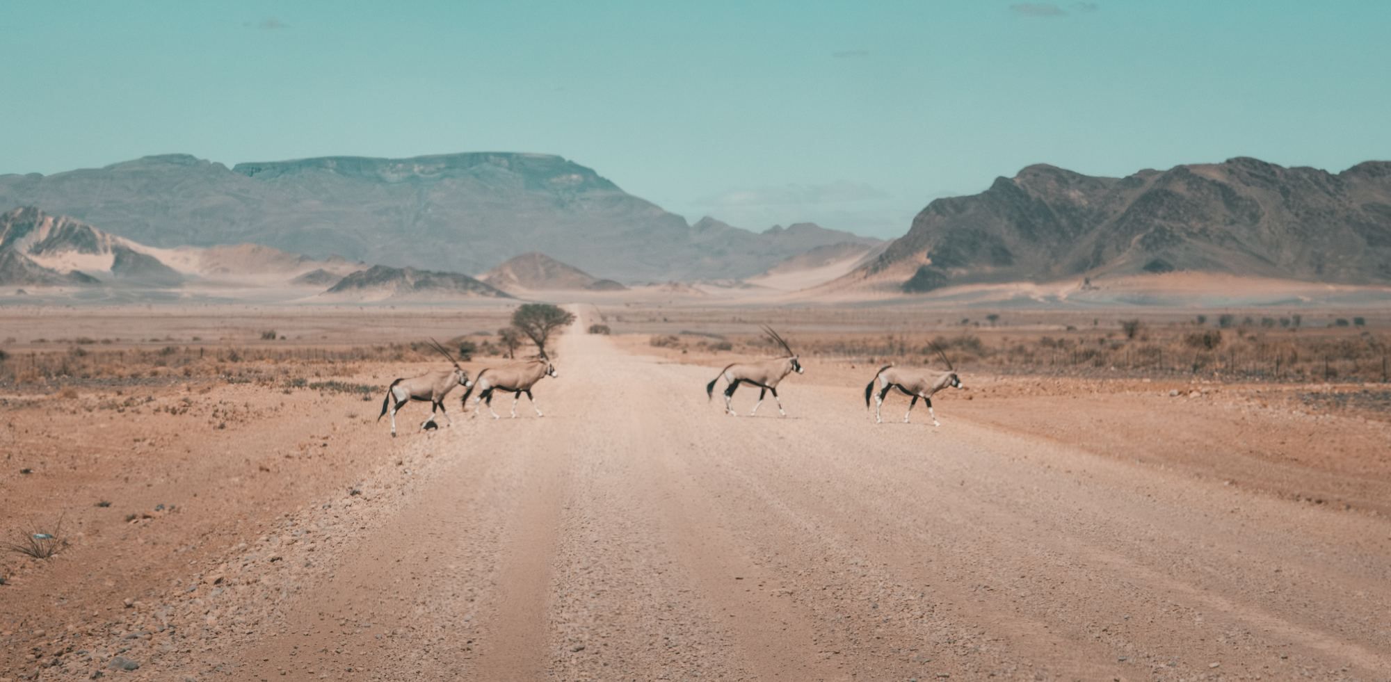 Skeleton Coast fog rolling over shipwreck