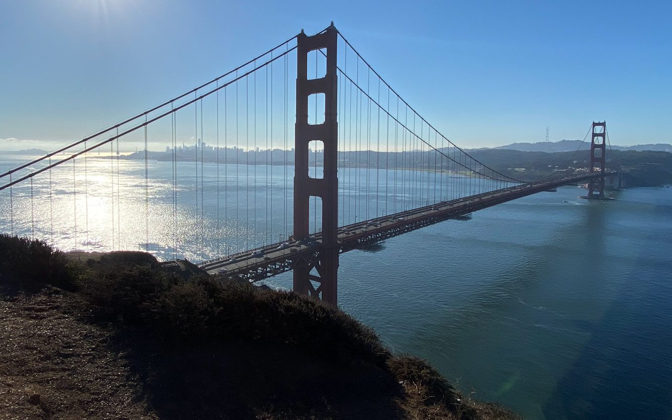 Muir Woods redwood forest