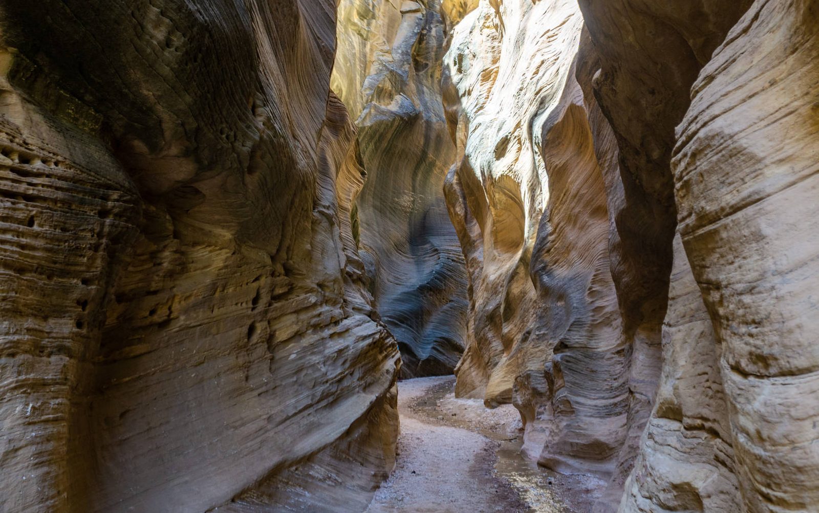 Bryce Canyon hoodoos
