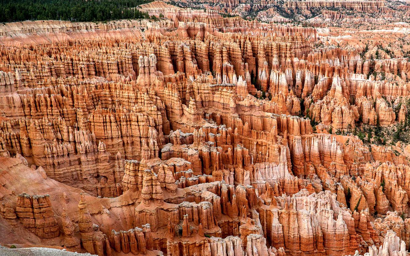 Zion National Park - towering red cliffs and lush valleys