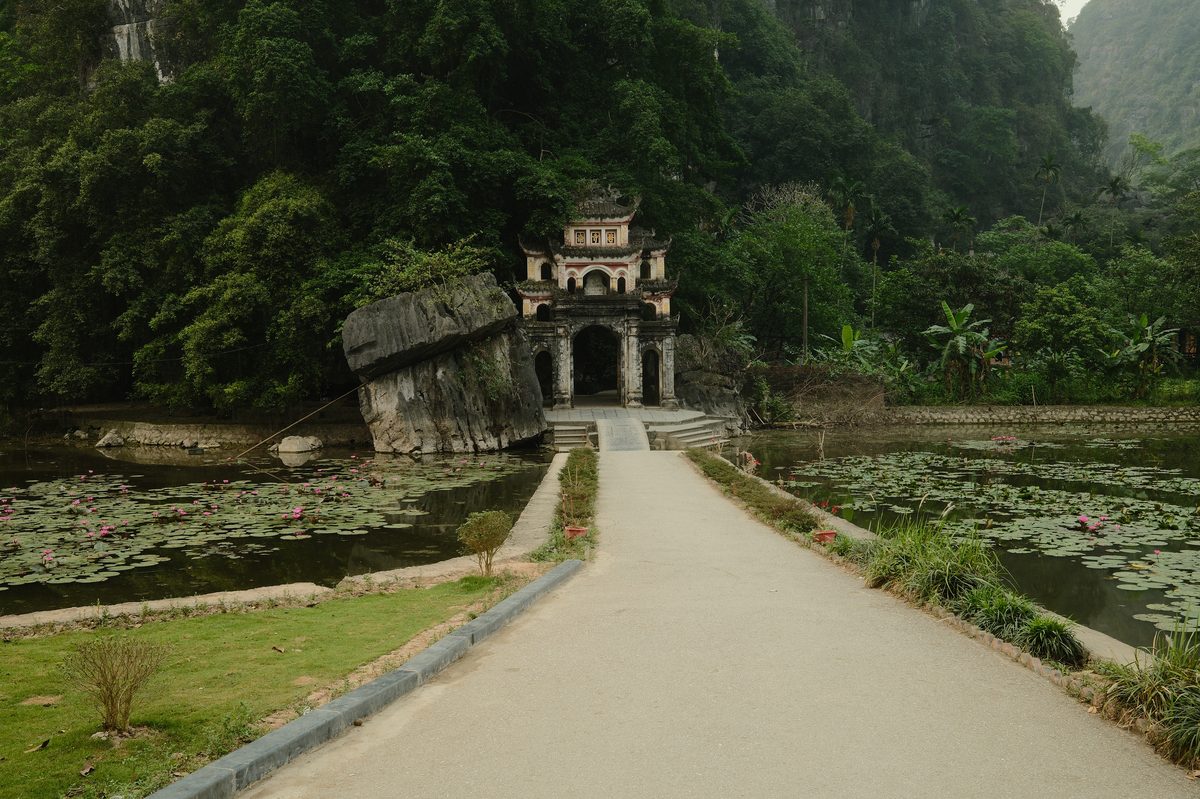 Verdant Jungle - after