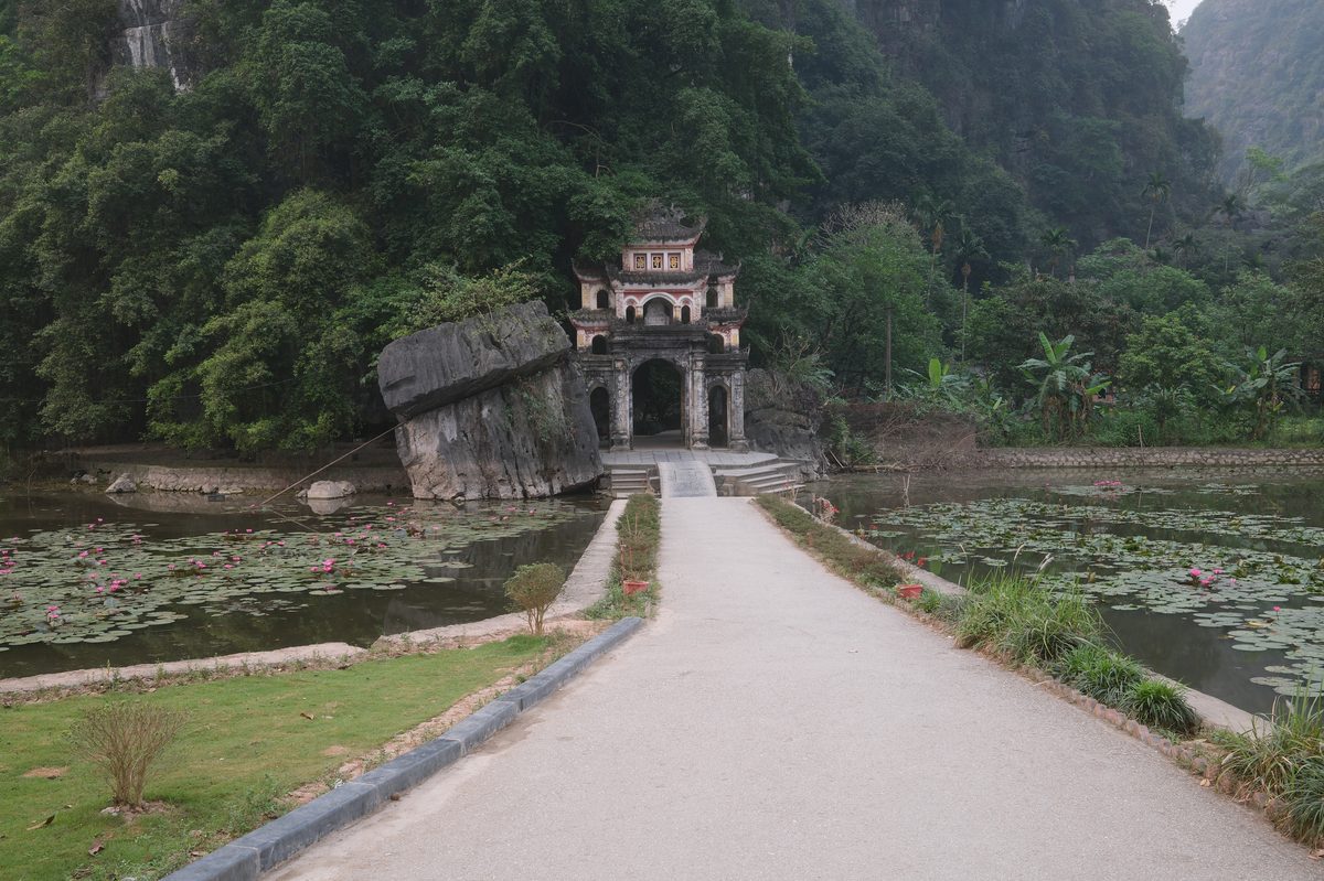 Verdant Jungle - before